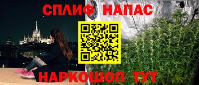 jwh Будённовск