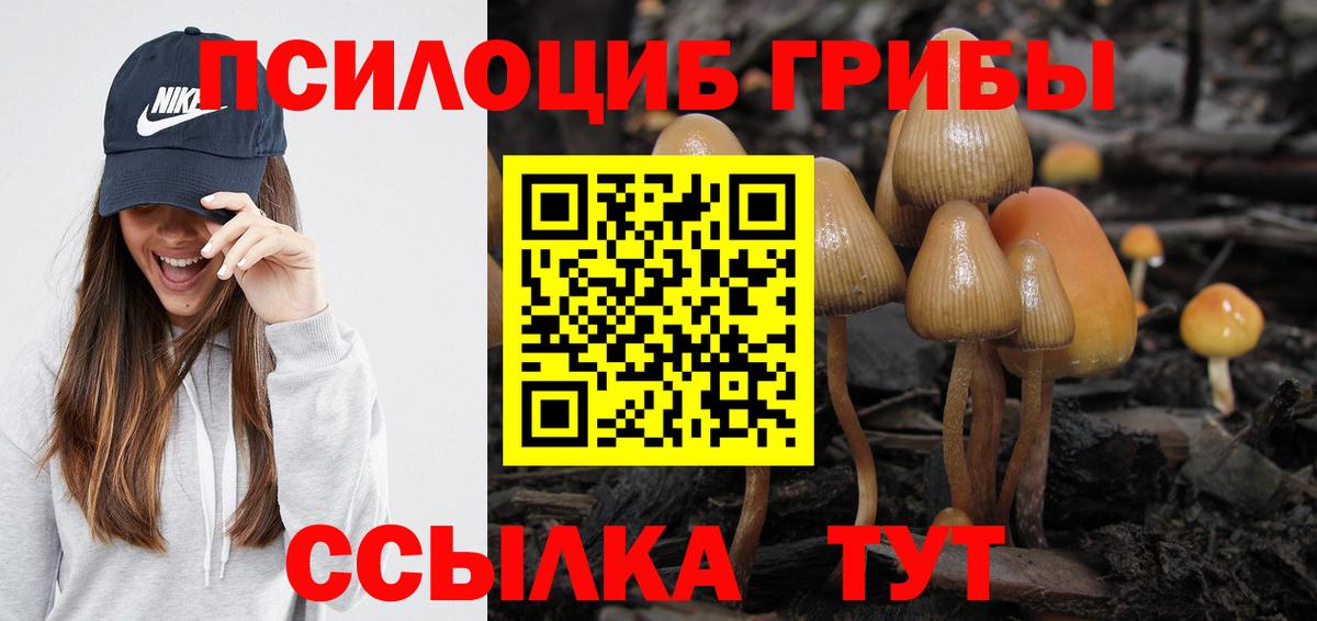 Галлюциногенные грибы MAGIC MUSHROOMS  Псилоцибиновые грибы прущие грибы  Вход с VPN  Петрозаводск 